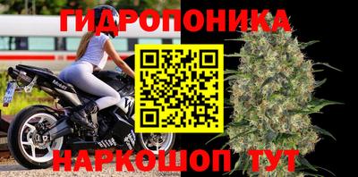 прущая мука Лесосибирск