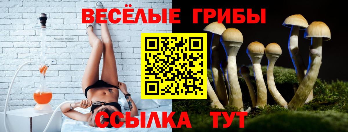 Псилоцибиновые грибы GOLDEN TEACHER Ижевск